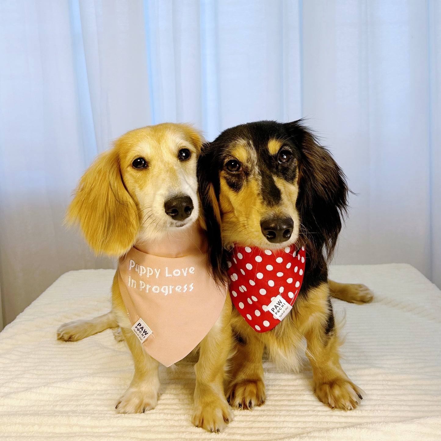 Classic Chic – Red & White Polka Dot Bandana