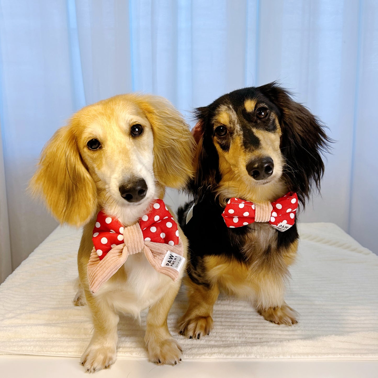 Classic Chic – Red & White Polka Dot Bandana