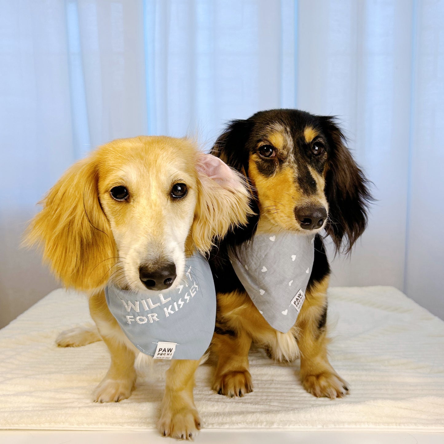 Sweet & Subtle – Grey & White Hearts Bandana