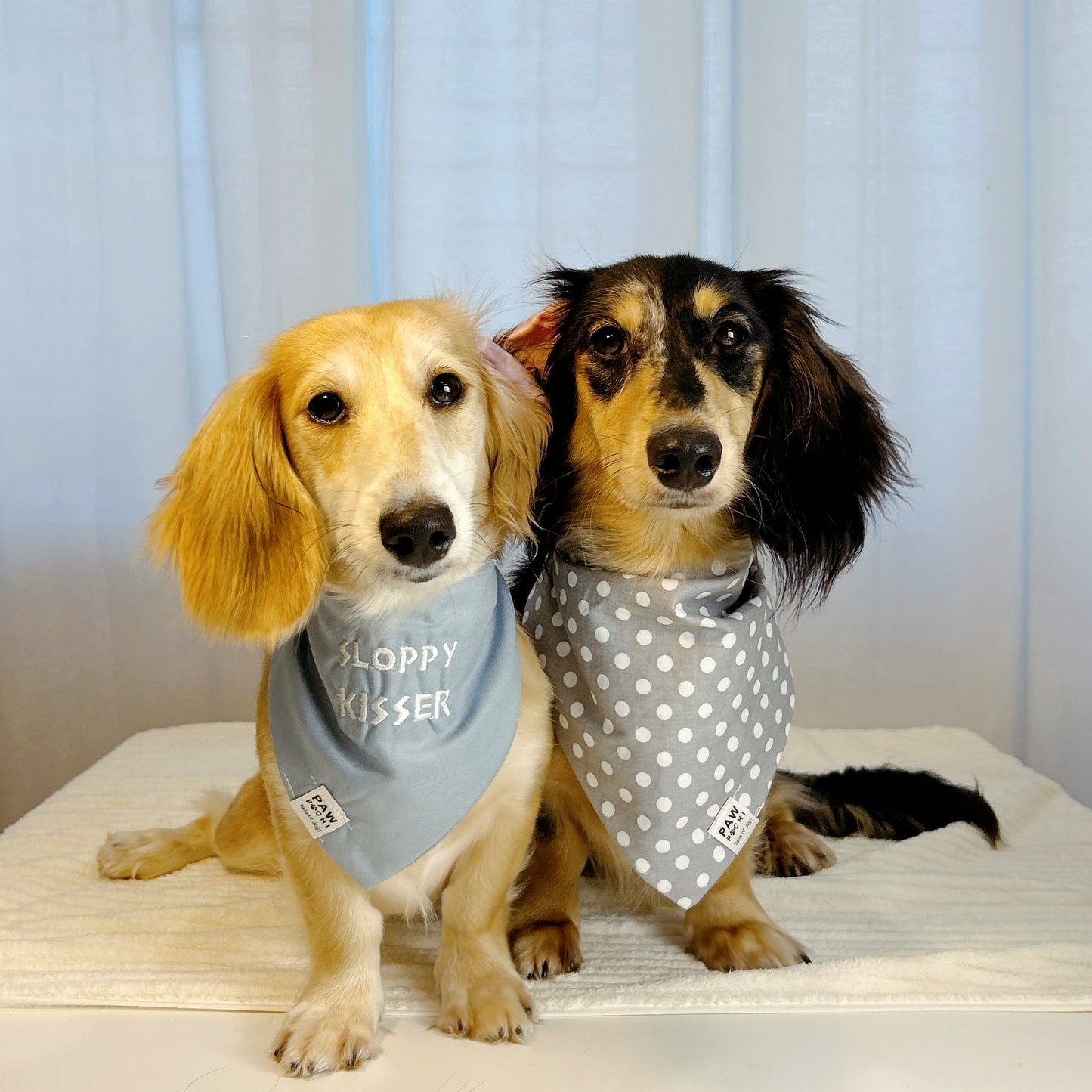 Subtle Elegance – Grey & White Polka Dot Bandana